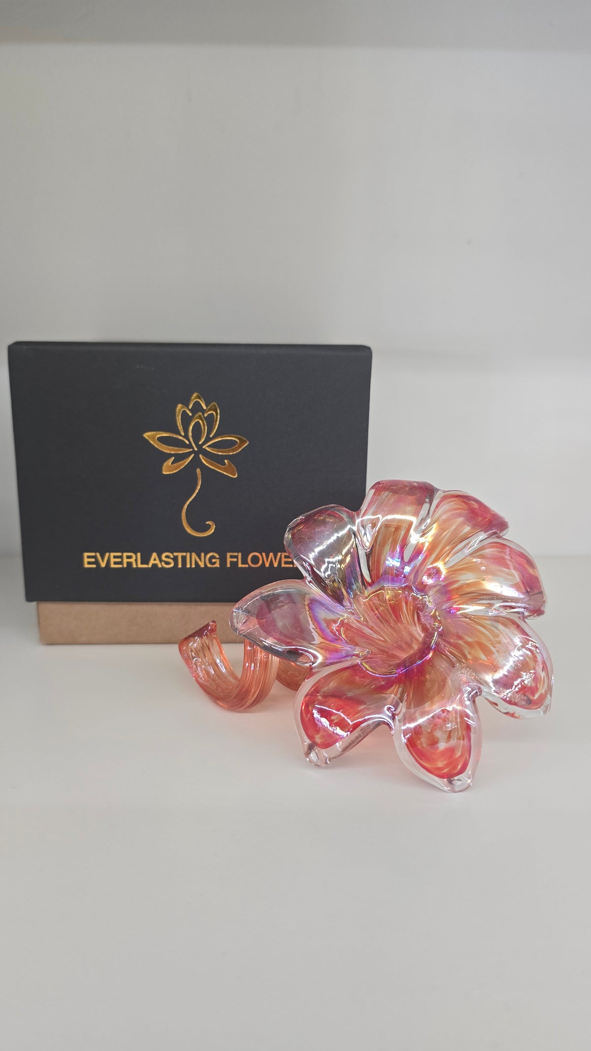 Everlasting Flower-009