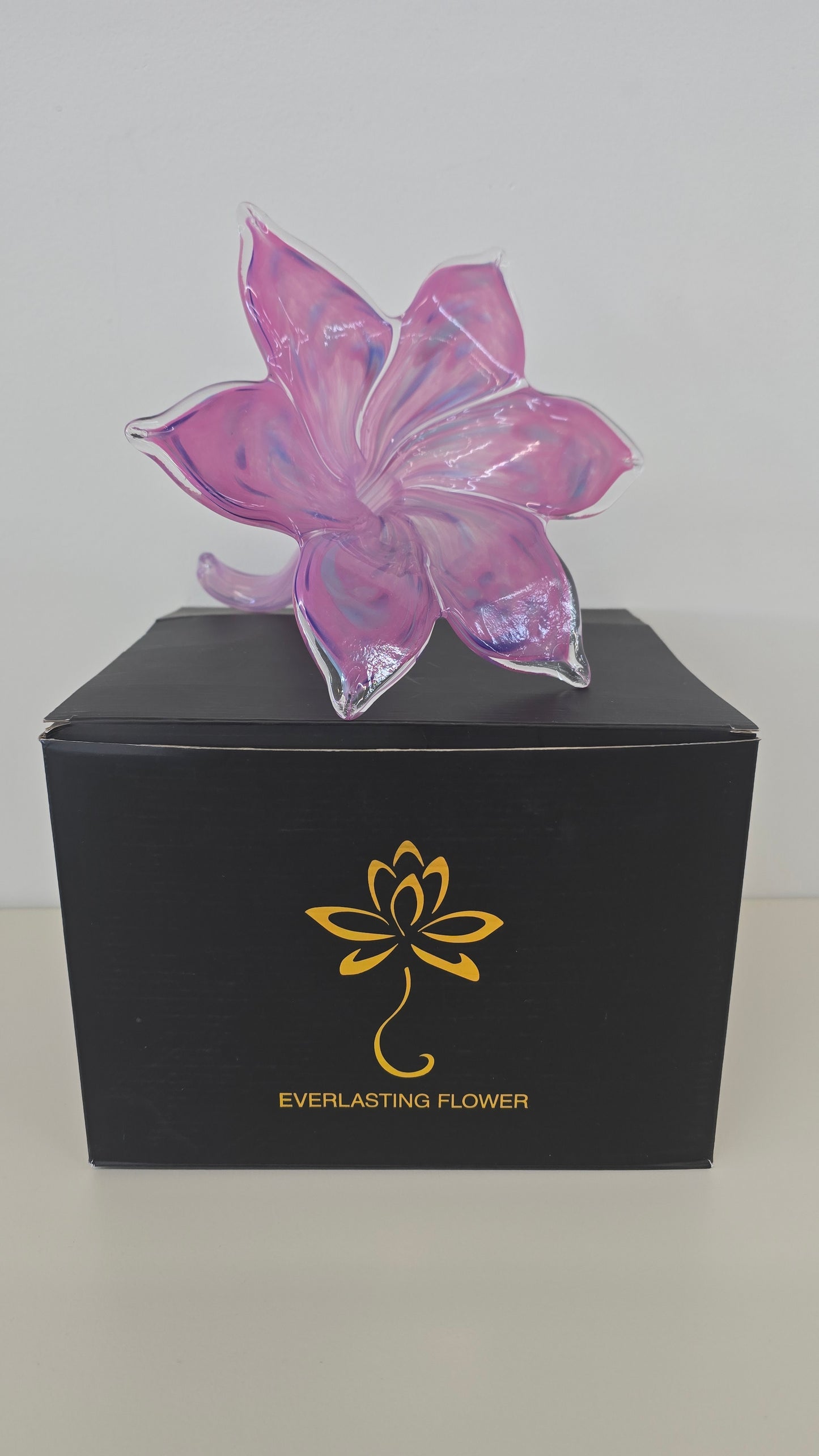 Large Everlasting Flower-003L