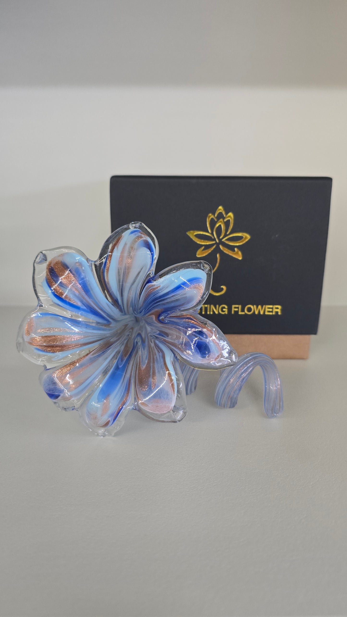 Everlasting Flower-007
