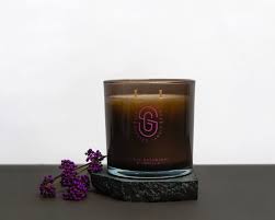Black Raspberry and Vanilla Candle