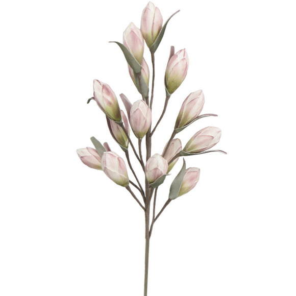 Magnolia Branch- Soft Pink