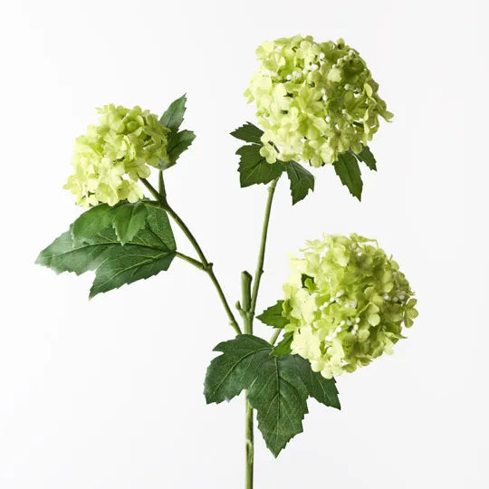 Snownball Stem- Green
