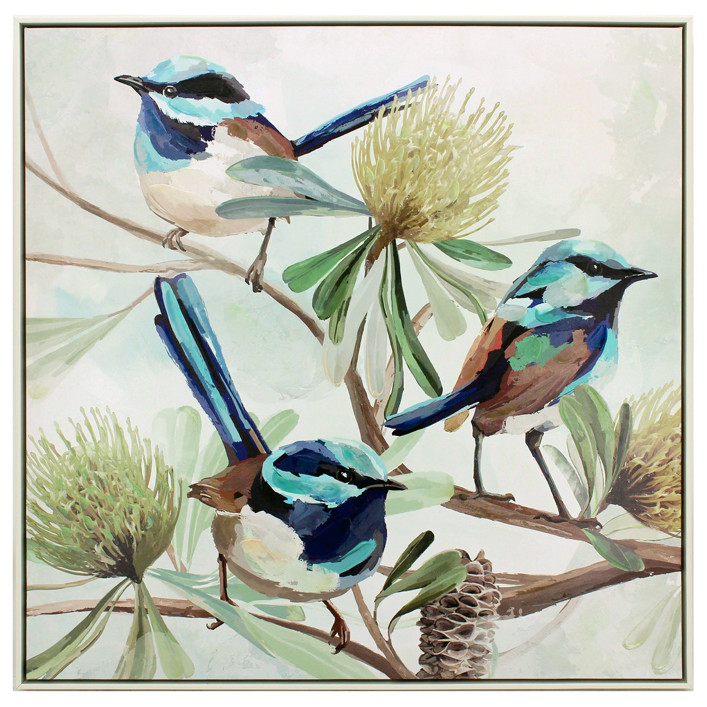 Fairy Wren Trio