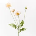 Iceland Poppy Spray - Peach