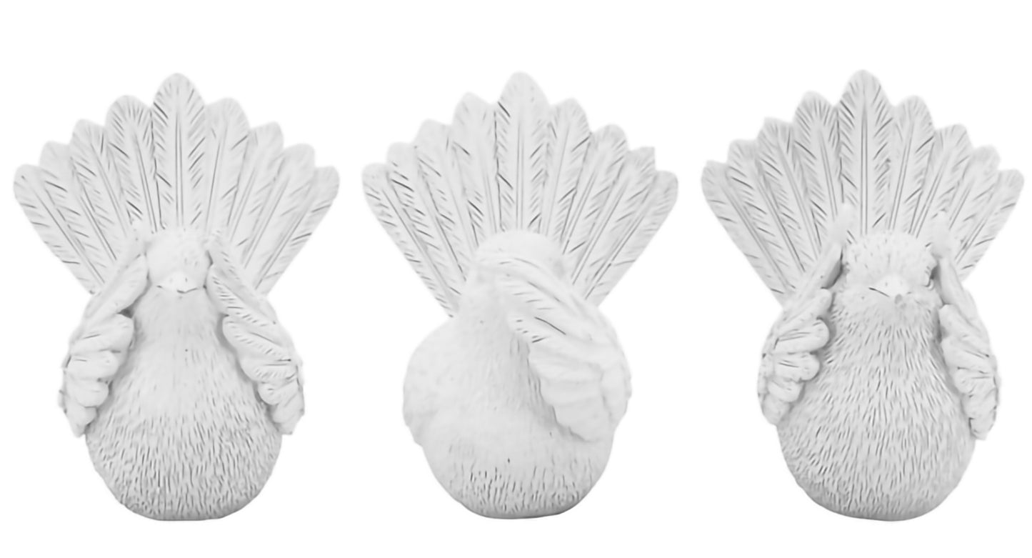 Willy Wagtails Set- White