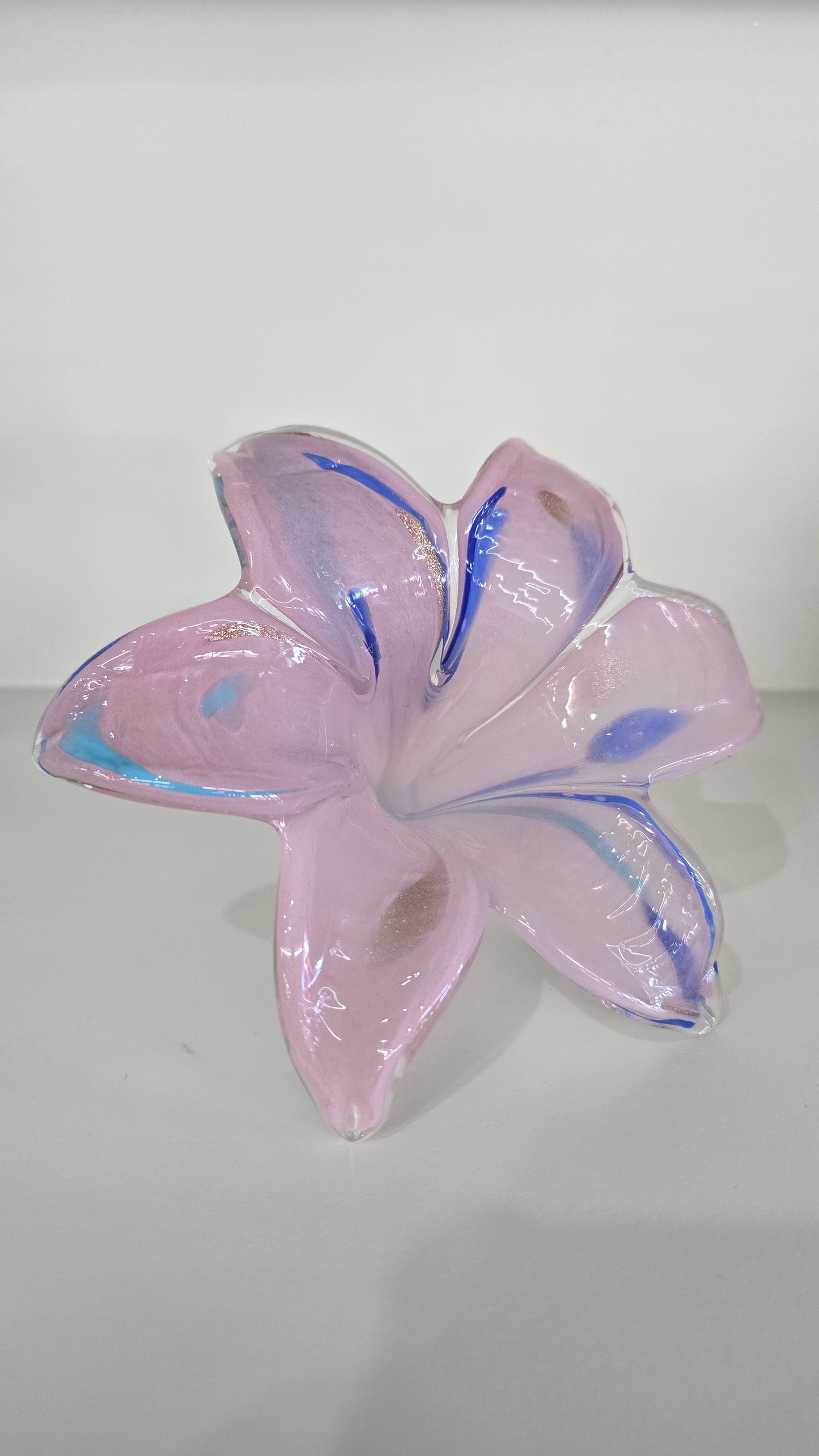 Everlasting Flower -016