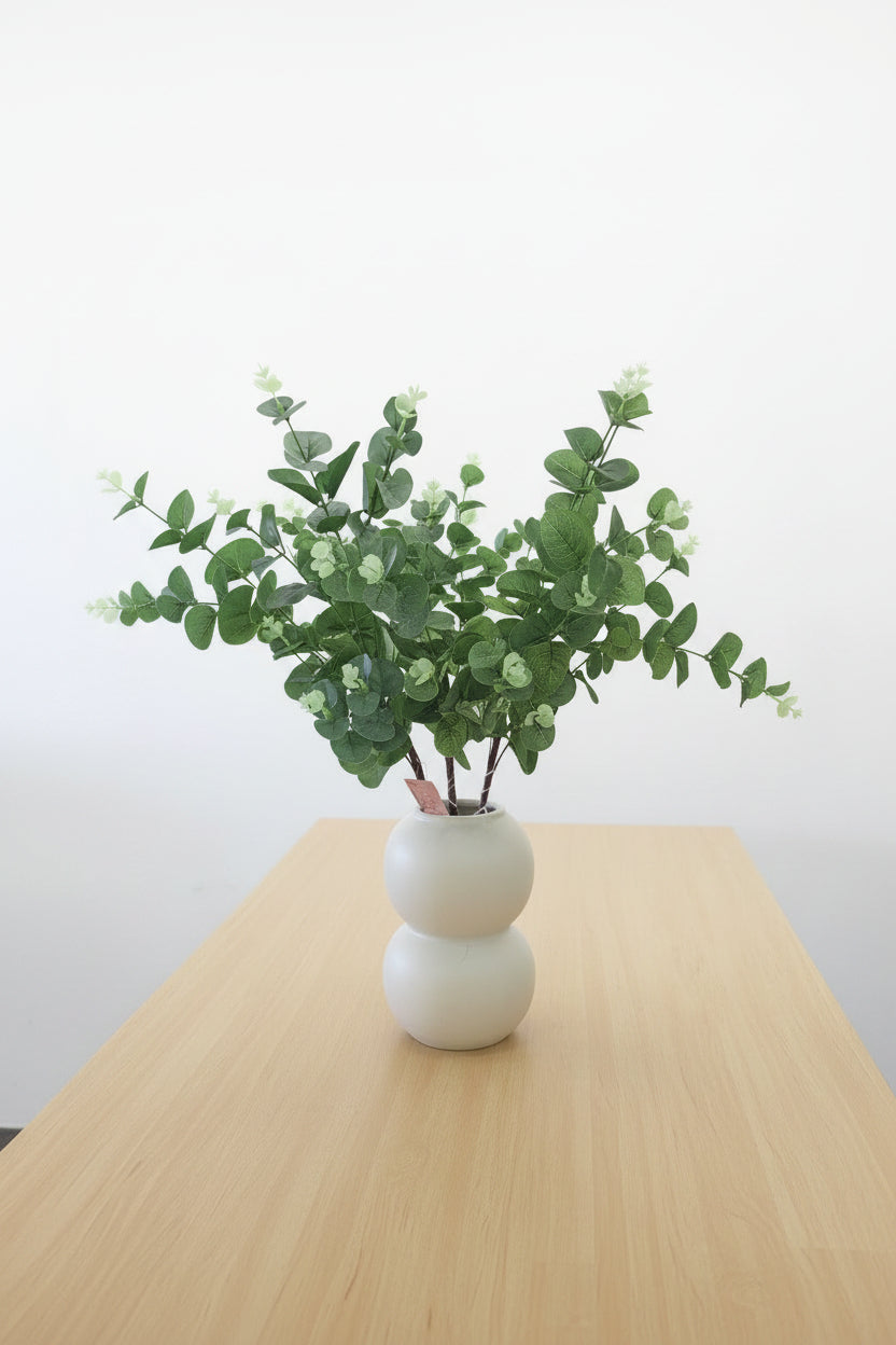 Eucalyptus Stem
