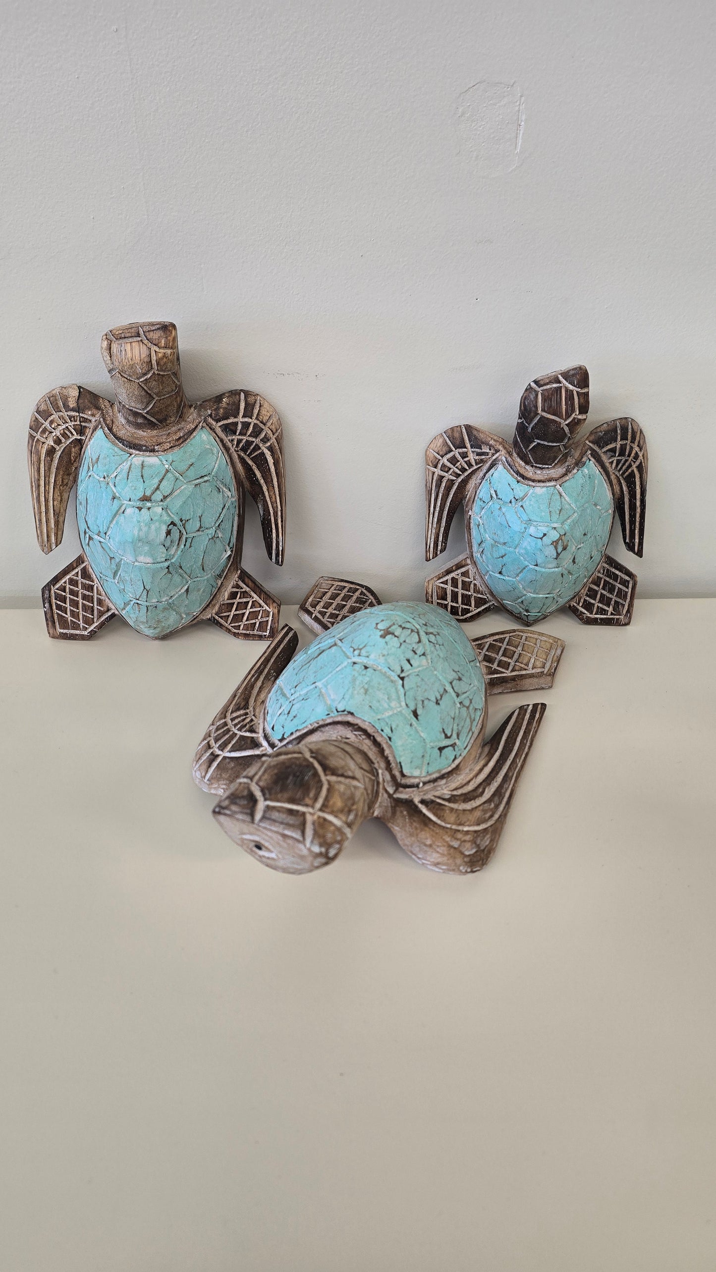 Turtle Set