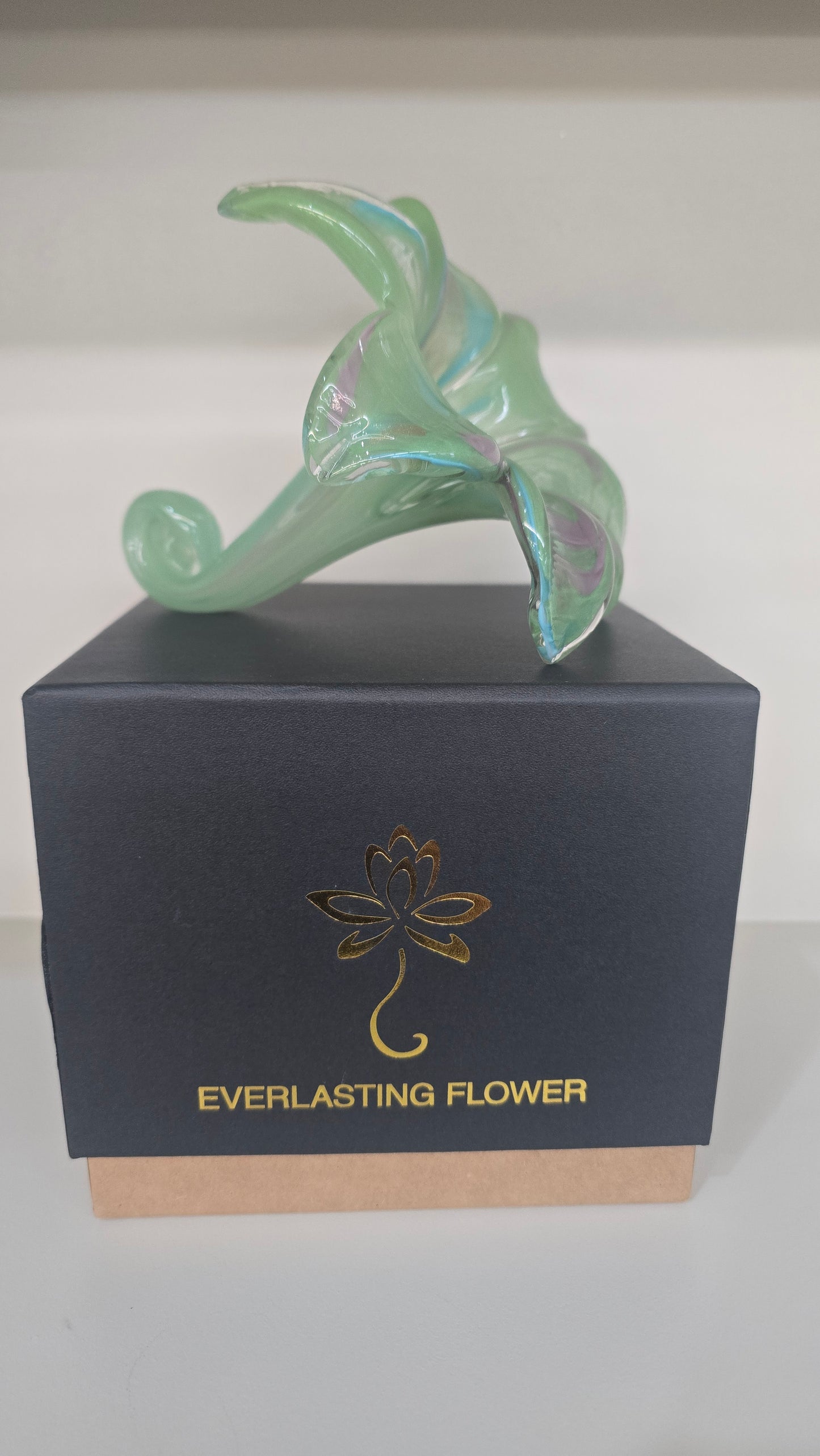 Everlasting Flower-015