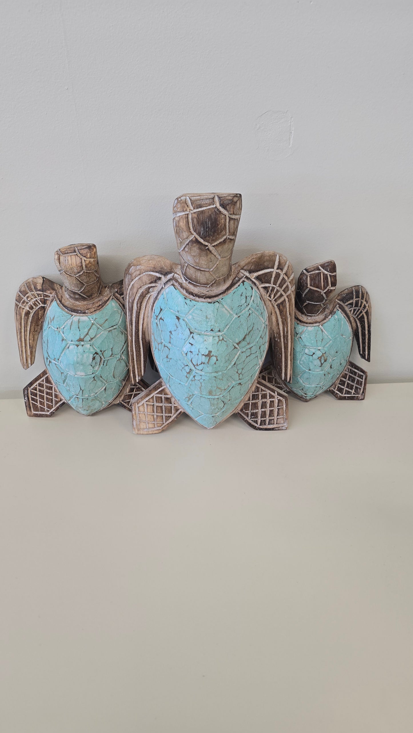 Turtle Set