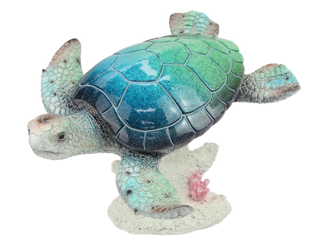 Turtle on Coral