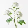 Snowball Stem-White