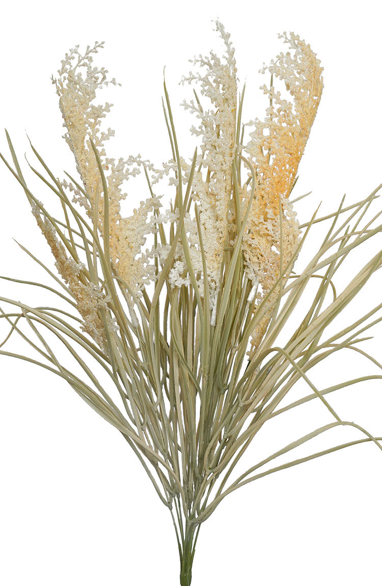 Pampas Grass Bunch - Cream