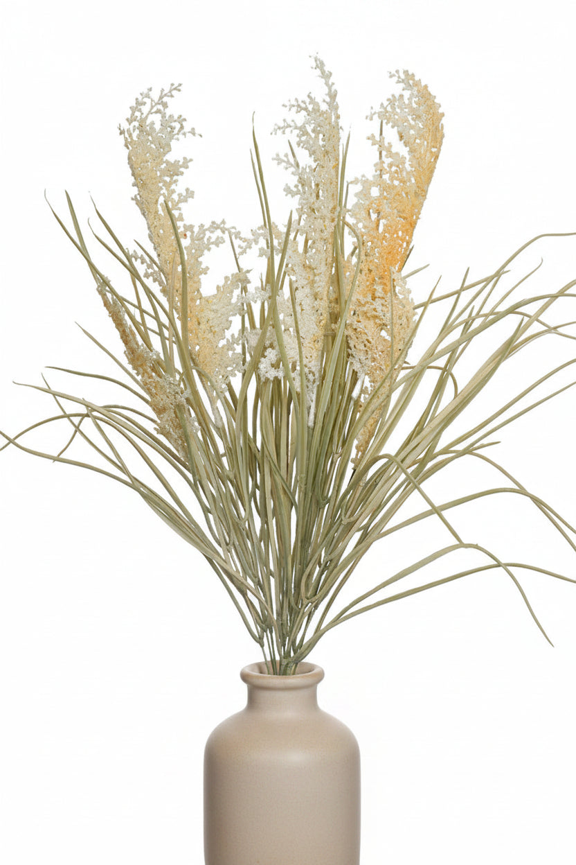Pampas Grass Bunch - Cream