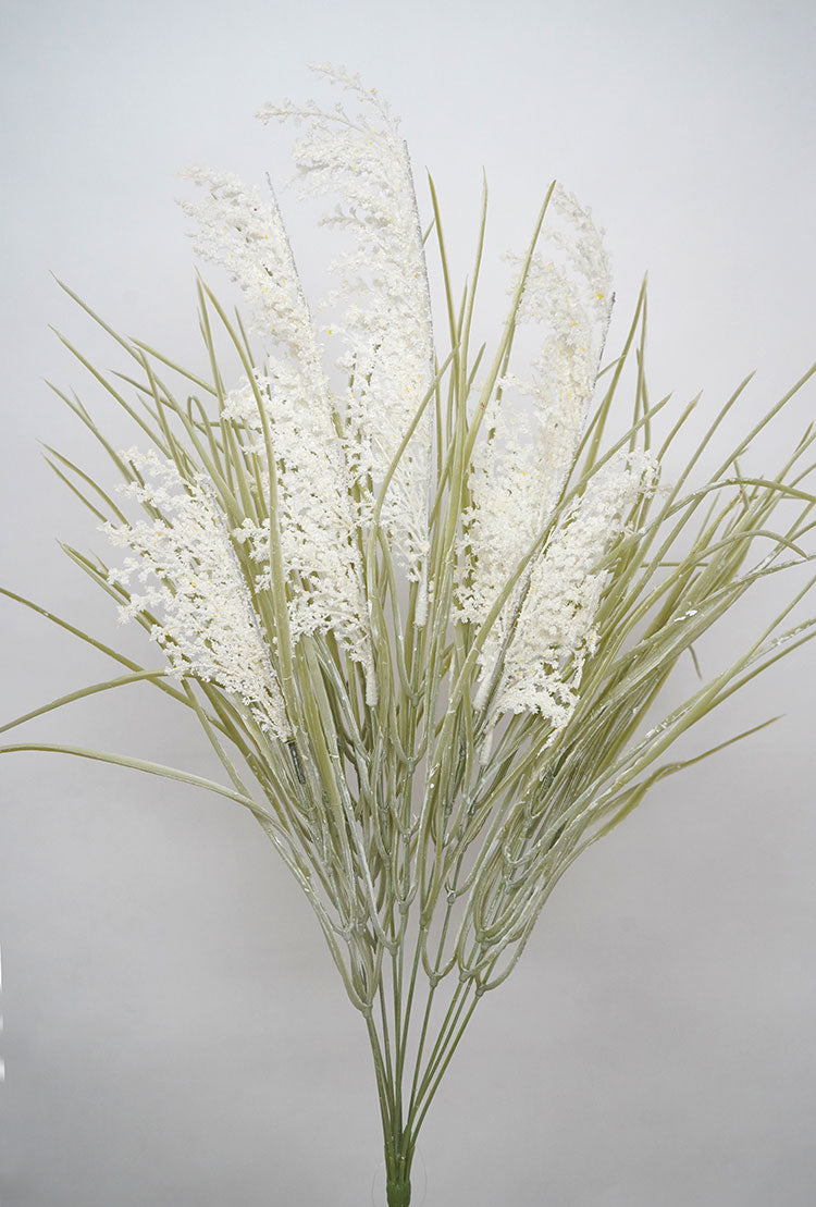 Pampas Grass Bunch - Cream