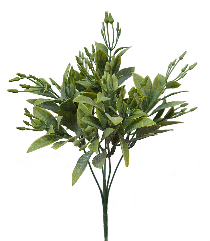 Seeding Bush - Green