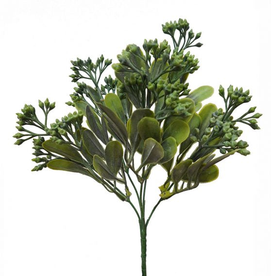 Seeded Bush - Green