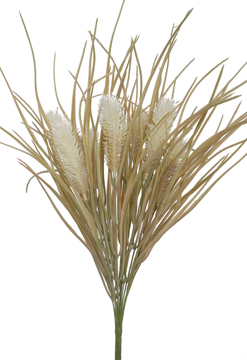 Pampas Grass Bush - Brown