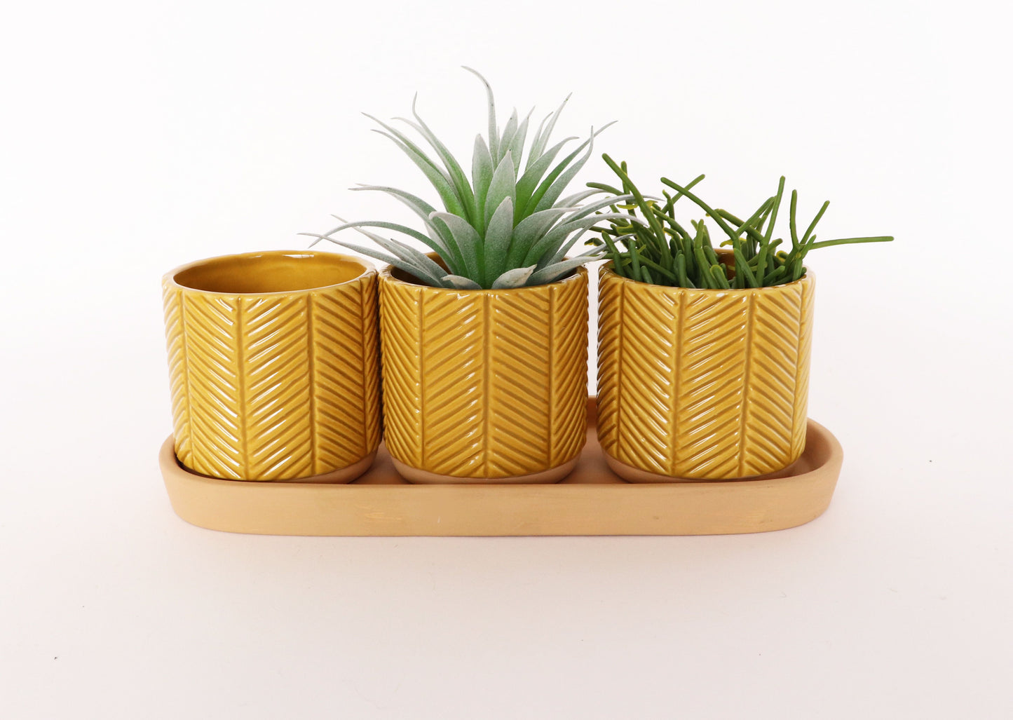 Zari Planters-Mustard