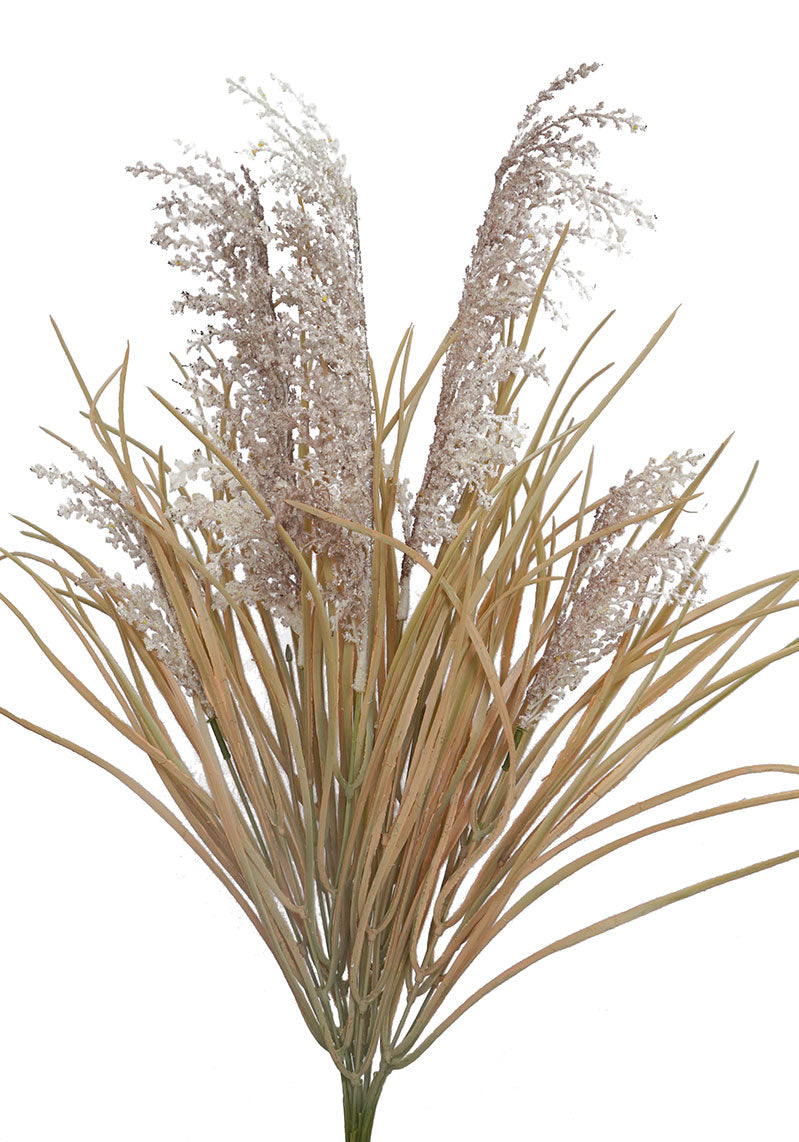 Pampas Grass Bunch - Brown