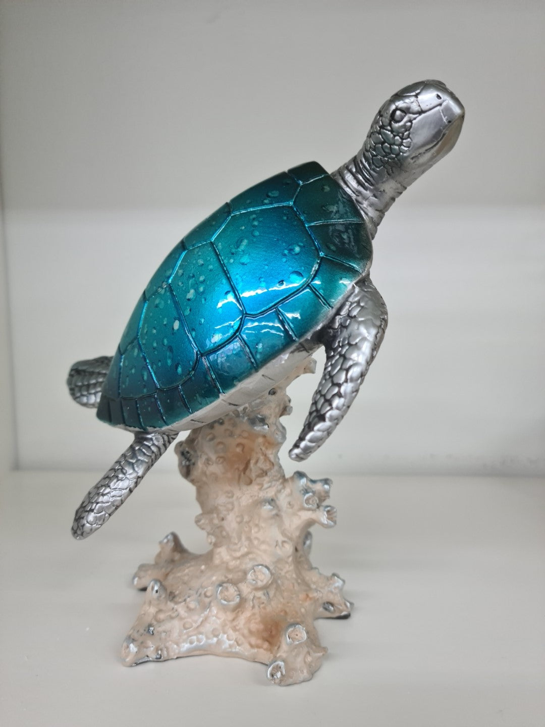 Turtle on Coral