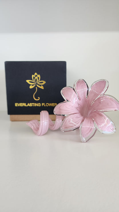 Everlasting Flower - 004