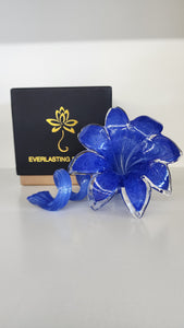 Everlasting Flower- 001