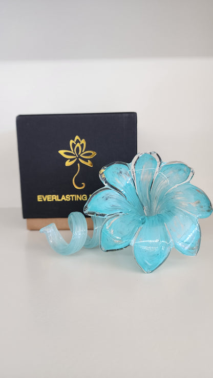 Everlasting Flower- 002