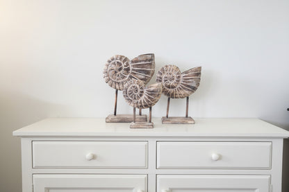 Wooden Shells