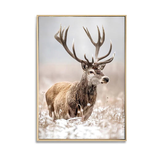 Framed Print- Magestic Snow Deer