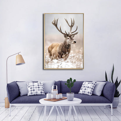 Framed Print- Magestic Snow Deer