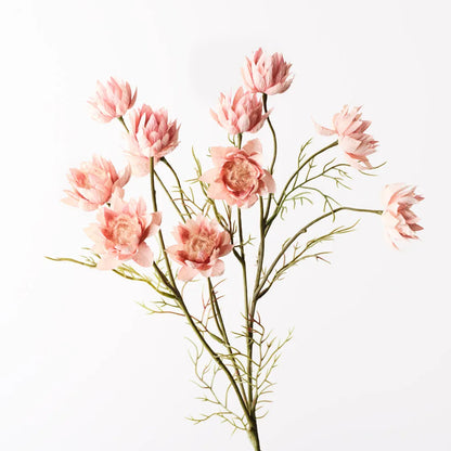 Blushing Bride Spray-Dusty Pink
