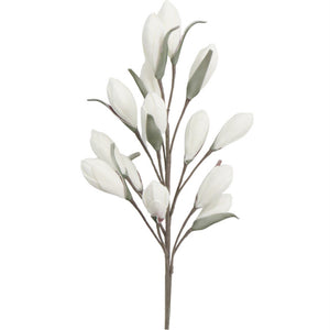 Magnolia Branch - White