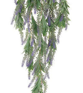 Hanging Lavender Bush