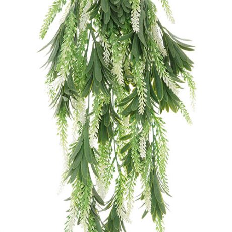 Hanging Lavender Bush -White/ Green