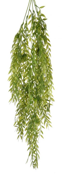 Hanging Hops-Green
