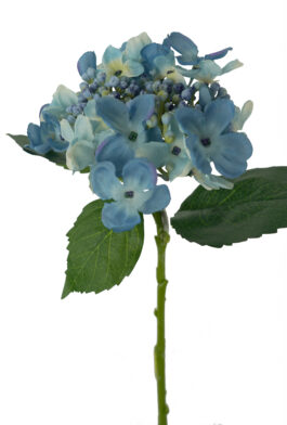 Hydrangea Stem - Blue