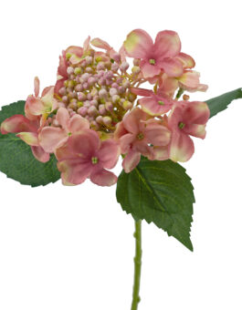 Hydrangea Stem -Pink