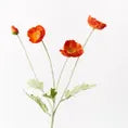 Iceland Poppy Spray- Burnt Orange