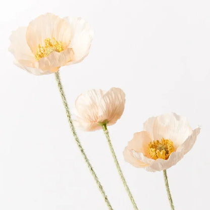 Iceland Poppy Spray - Peach