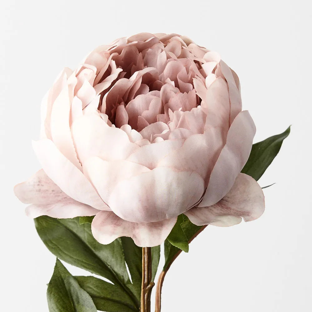 Peony Stem-Dusty Pink
