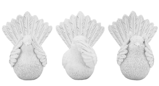 Willy Wagtails Set- White