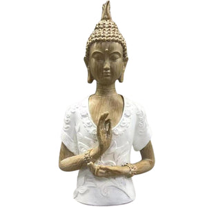 Budha Hand Up
