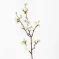 White Blossom Stem
