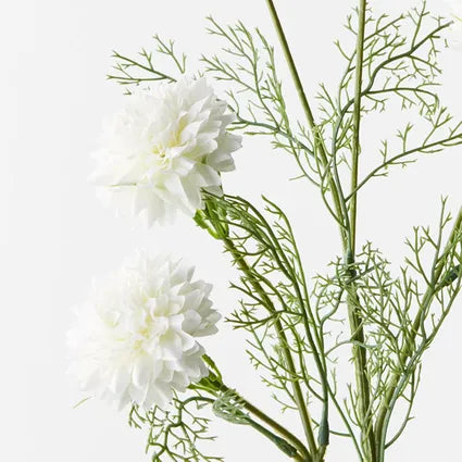 Cornflower Spray- White