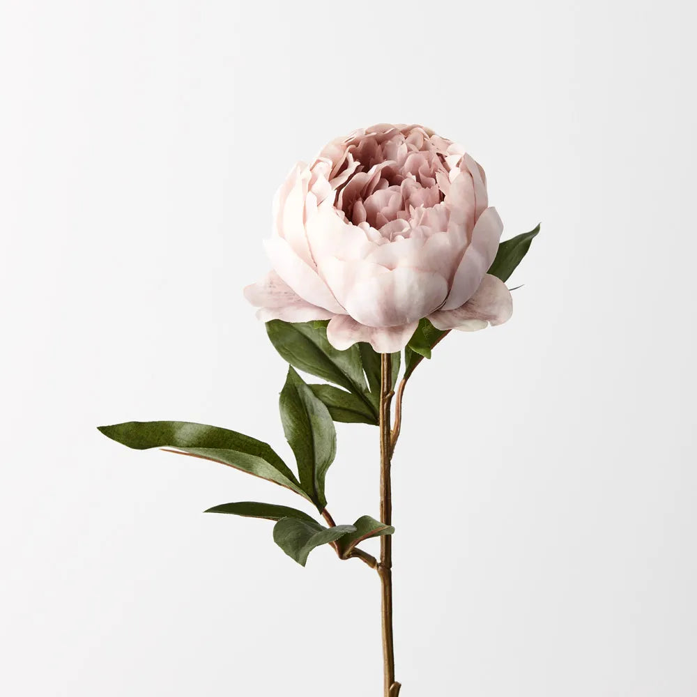 Peony Stem-Dusty Pink