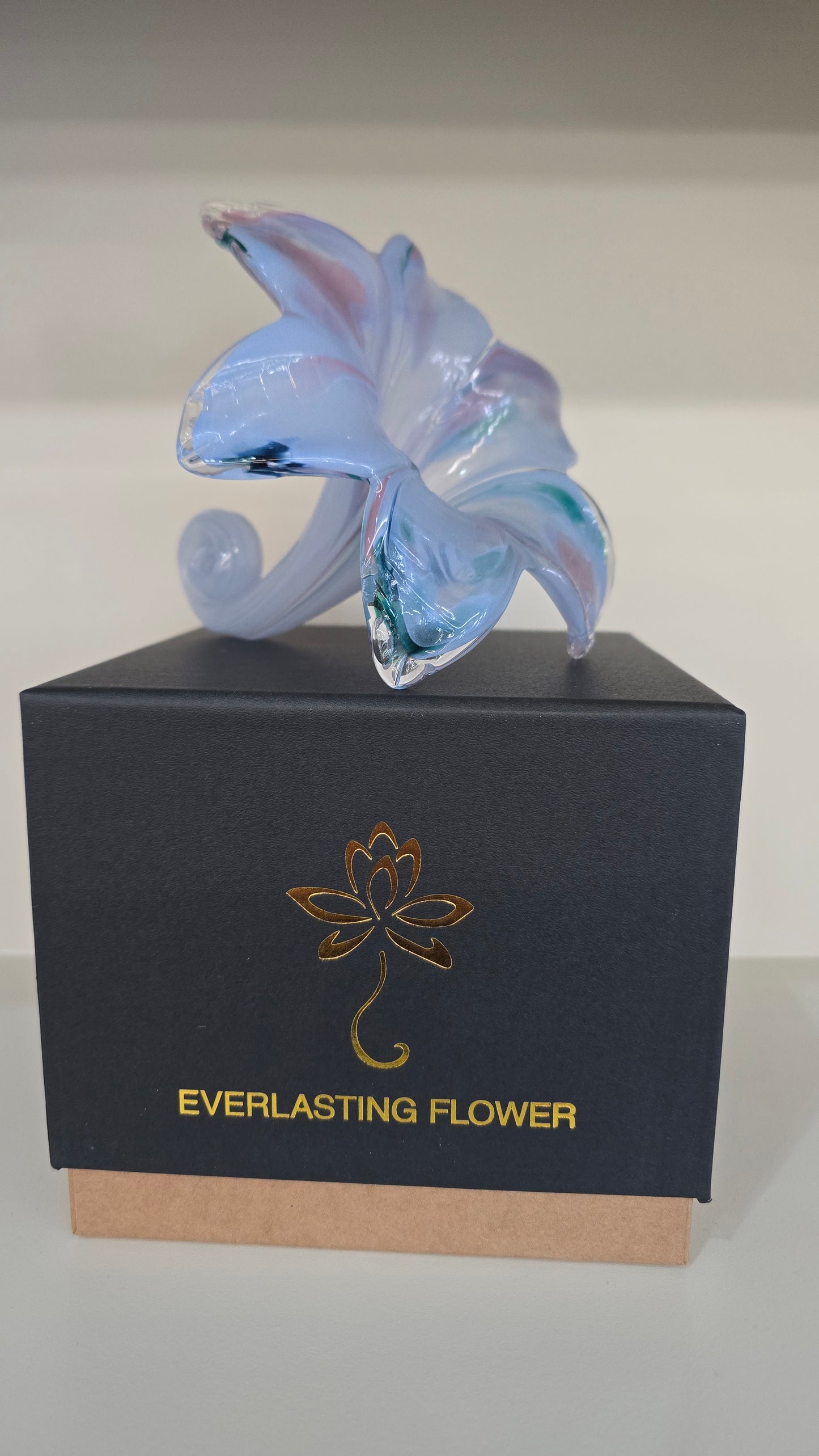Everlasting Flower-017