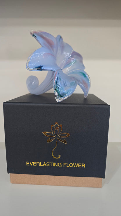 Everlasting Flower-017