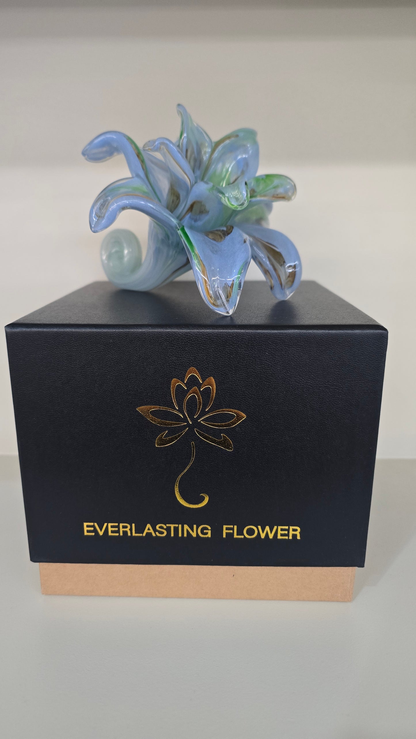 Everlasting Double Flower-013