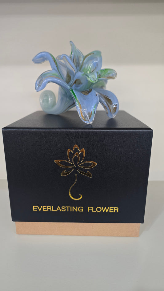 Everlasting Double Flower-013